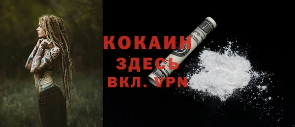 винт Аркадак