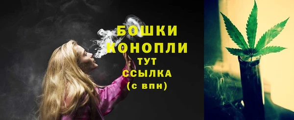стаф Домодедово